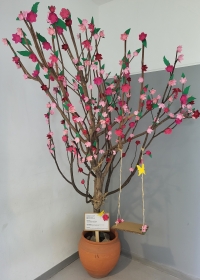 Descoberta Nova Espécie na Nossa Escola: A Amicitia Arboris Está a Florescer!